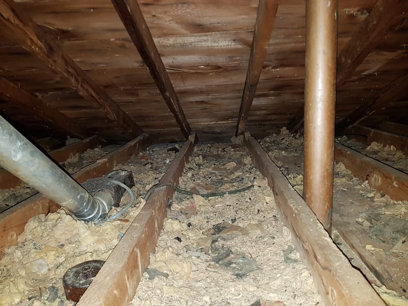 contaminated insulation