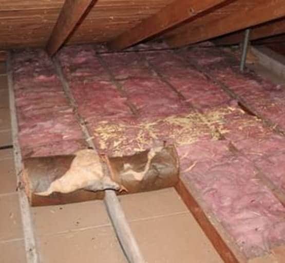 batt insulation removal toronto