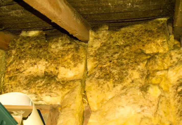 damaged insulation