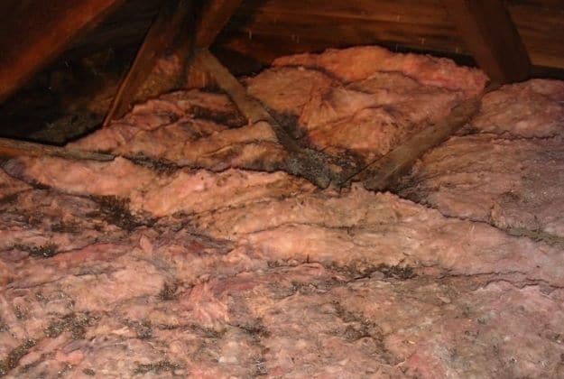 damaged and old insulation