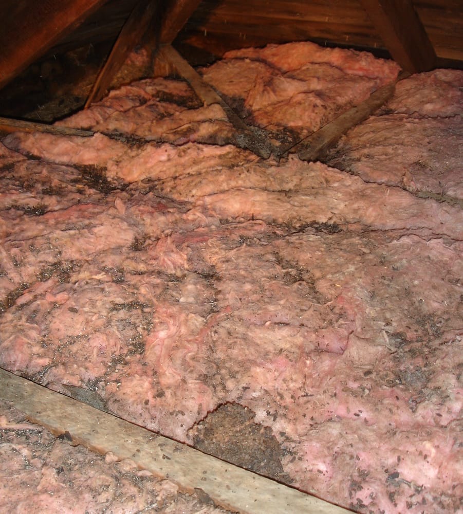 Common Signs Your Old Insulation Needs to Be Removed Attic Insulation