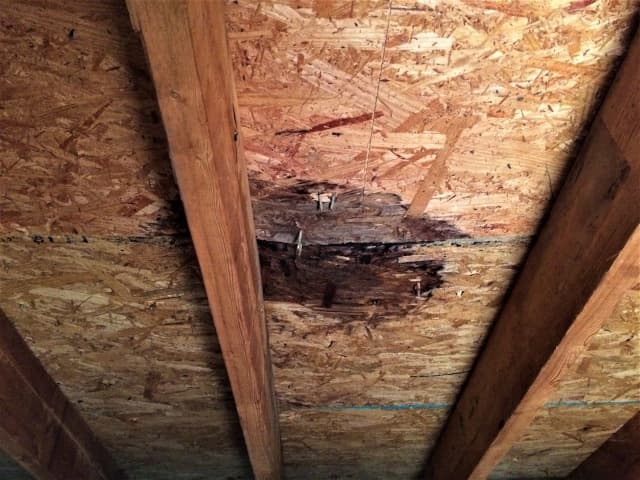How to remove mold from attic sheathing-plywood