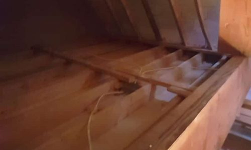 attic cleaning