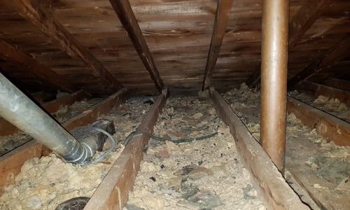 contaminated insulation