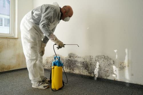 mold-inspections